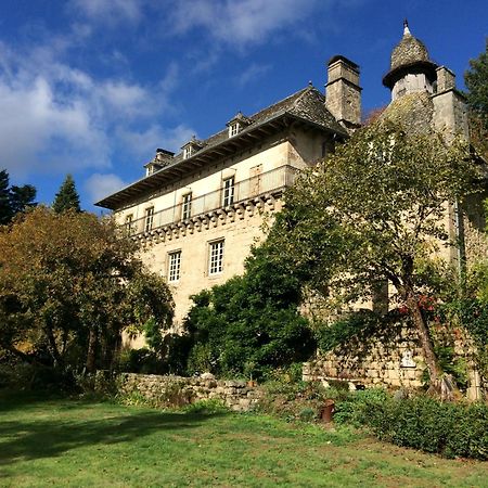 B&B Chateau Le Bois Saint-Julien-aux-Bois エクステリア 写真