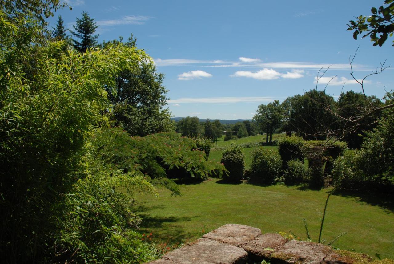 B&B Chateau Le Bois Saint-Julien-aux-Bois エクステリア 写真