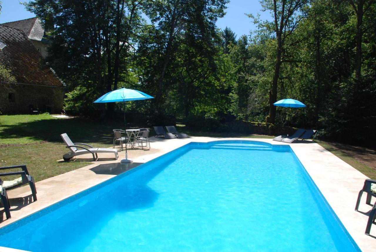 B&B Chateau Le Bois Saint-Julien-aux-Bois エクステリア 写真