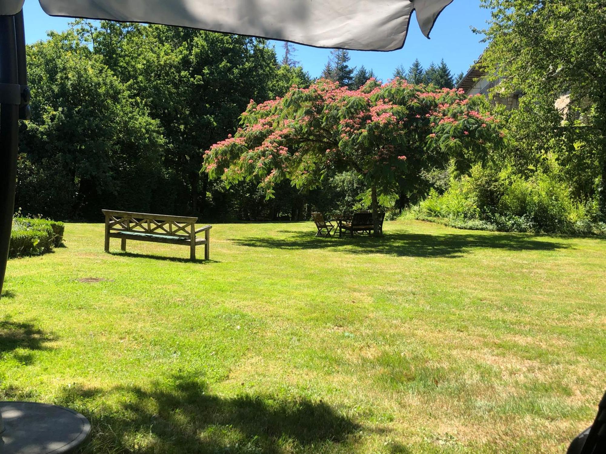 B&B Chateau Le Bois Saint-Julien-aux-Bois エクステリア 写真
